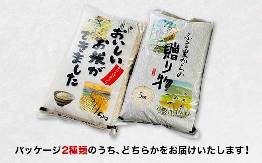 〈先行予約〉令和7年産 農家直送 ベルライスファームの天のつぶ 無洗米20kg F6U-130