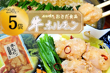 【飛騨 味職人】牛ホルモン 網焼き用（250g×5袋）飛騨 牛肉 ホルモン BBQ 味付け 贈答 ギフト もつ鍋【57-16】