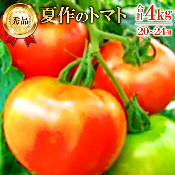 【ふるさと納税】 朝採り 真赤な益田SUNトマト 秀品 20〜24玉入 先行予約 野菜 やさい トマト とまと 秀品 4kg 朝採れ 安心 安全 箱入り 期間限定 季節限定 早期予約