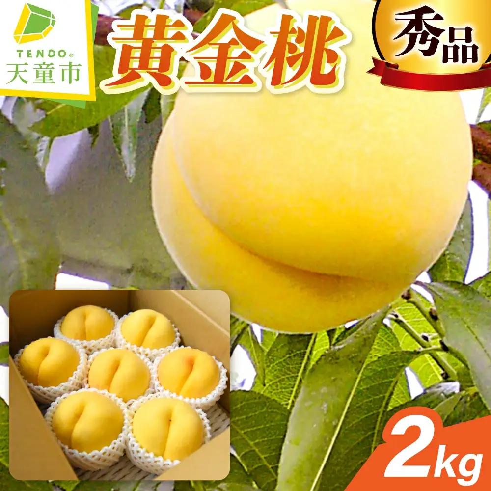 もも 黄金桃 2kg フルーツ 果物 山形 黄桃
