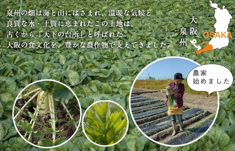 旬の新鮮 野菜セット（15種以上）定期便 全6回 おまかせ ピクルスの素付き ファミリー向け【毎月配送コース】 G939_イメージ2