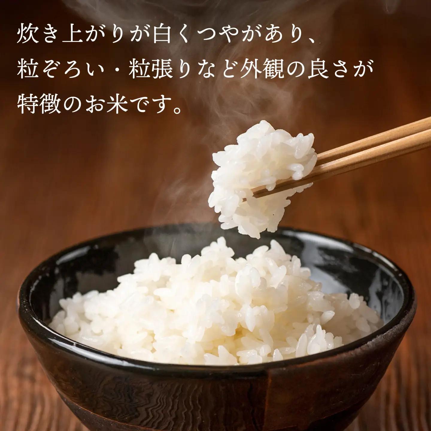 令和7年産 青森県産 まっしぐら 5kg 精米 白米 お米