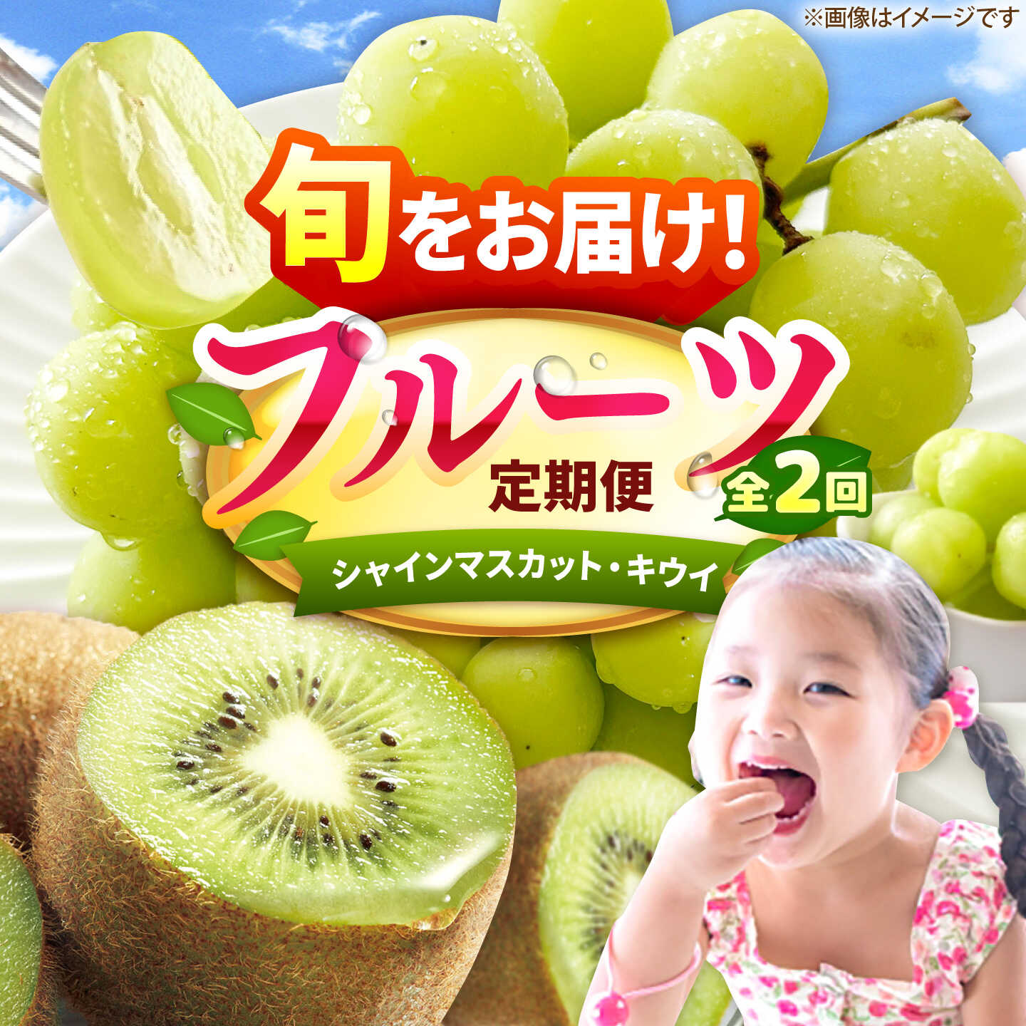 【ふるさと納税】【2回定期便】フルーツ定期便（シャインマスカット/キウイ） 広川町 / JAふくおか八女農産物直売所どろや[AFAB123]