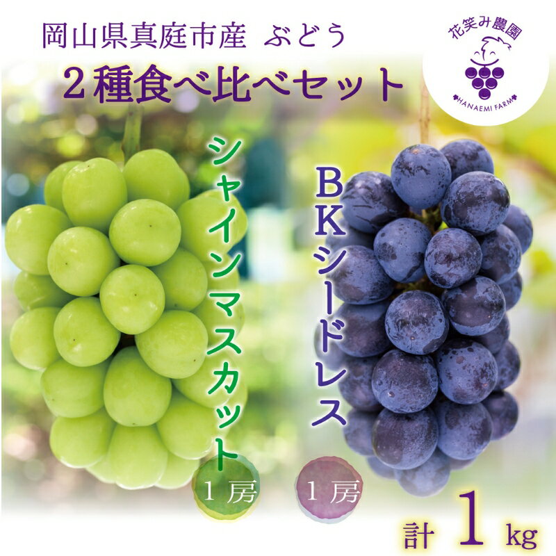 【ふるさと納税】 岡山　花笑み農園『シャインマスカット&BKシードレス』1kg(2房)BS-1 hana47【2025年9月下旬〜順次発送】【配送不可地域：離島】 真庭 国産 産地直送 フルーツ 葡萄 ぶどう ブドウ 果物 贈答 ギフト 食べ比べ 種なし 甘い 先行予約 数量限定 人気【1491617】
