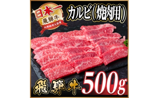 飛騨牛　厳選カルビ(焼肉・BBQ用) 500g　A4～A5等級 黒毛和牛　小分け_飛騨牛 黒毛和牛 カルビ 焼肉 BBQ バーベキュー 牛肉 和牛 精肉 肉 旨み おすすめ アウトドア キャンプ お取り寄せ グルメ 岐阜県 送料無料【1487355】