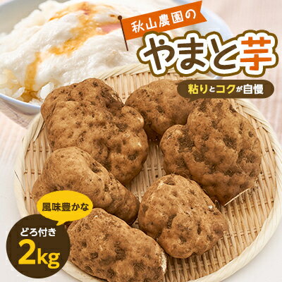 【ふるさと納税】やまと芋の町!多古から「秋山農園のやまと芋」2kg(どろ付き)【配送不可地域：離島・沖縄県】【1459872】