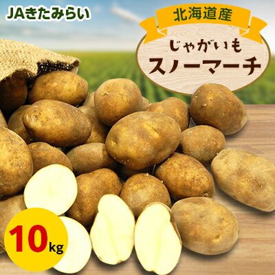【ふるさと納税】JAきたみらい　スノーマーチ(いも)　10kg【配送不可地域：離島・沖縄県】【1292796】