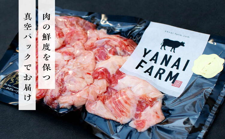 《佐賀牛》コラーゲンたっぷり スジ肉盛り合わせ 1kg【佐賀牛 スジ肉 コラーゲン ぷるぷる やわらか 煮込み料理 美味しい ブランド肉】 A5-J081004