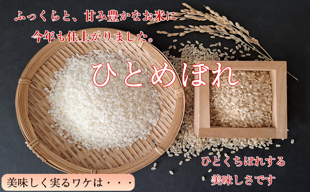  ひとめぼれ 無洗米 10kg（5kg x 2個入れ） 【1815】