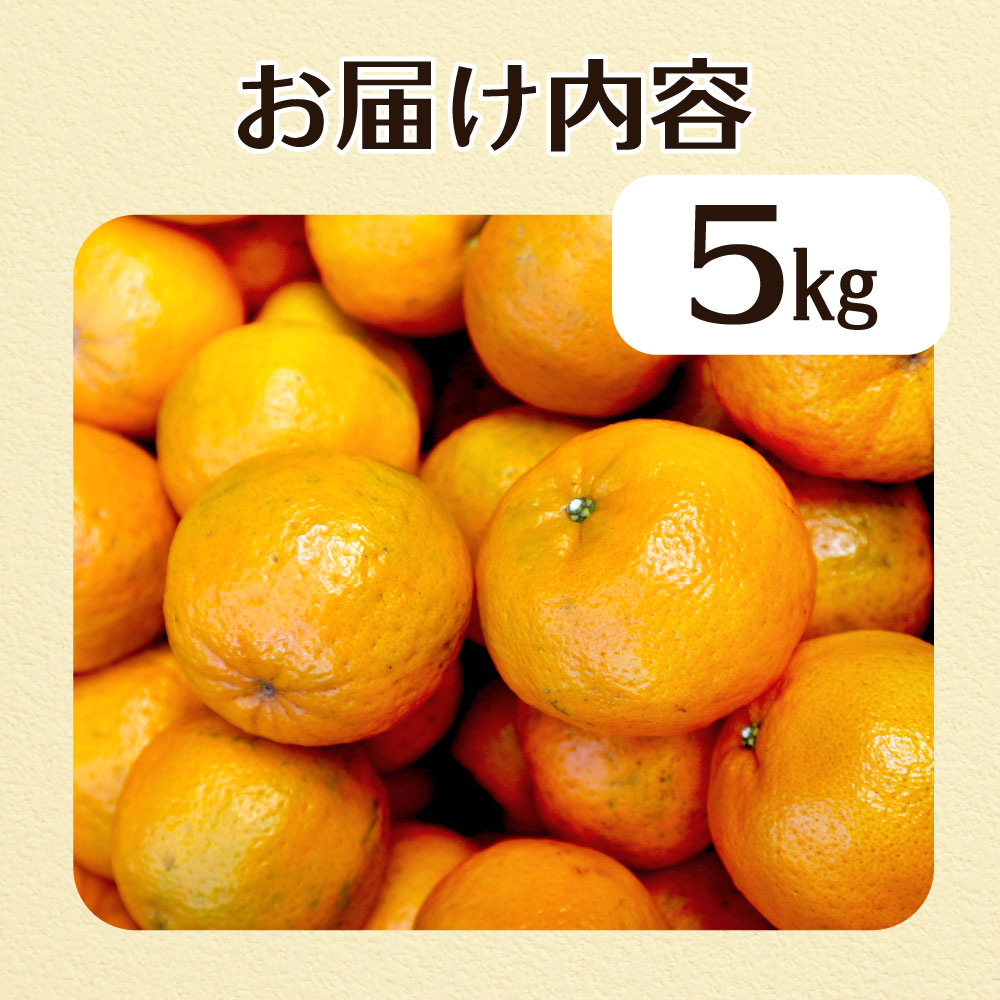 R8.1月下旬発送 規格外だけど規格外じゃない!? 訳あり 足摺ぽんかん 5kg デコポンの親 みかん 柑橘 果物 果実 ミカン ポンカン フルーツ おやつ デザート 5キロ 美味しい 井村農園【R0