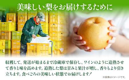 【先行予約】あたご 梨 約1.3kg 2玉 化粧箱 石原果樹園 《11月中旬-12月下旬頃より発送予定》岡山県 浅口市 フルーツ 果物 ギフト 贈り物 国産 岡山県産 送料無料