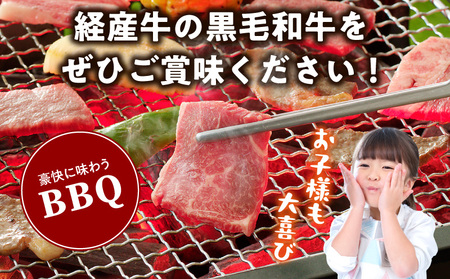 黒毛和牛（経産牛）6種焼肉セット300g 牛 焼肉 黒毛和牛