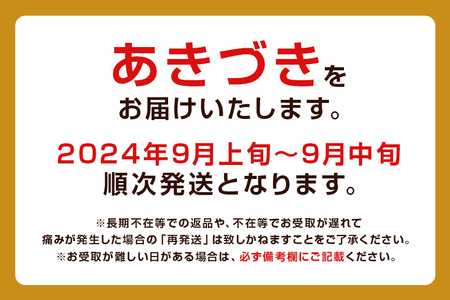 柴沼梨園の梨（あきづき）3kg 大玉 7～10個入り ナシ なし 国産 茨城 秋 旬 フルーツ 果物 先行予約【9月上旬～9月中旬発送】秋の味覚 旬の果物 くだもの 大きい サイズ 品種 あきづき 産