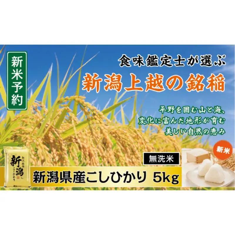 食味鑑定士厳選 コシヒカリ 無洗米 上越産 コシヒカリ 5kg