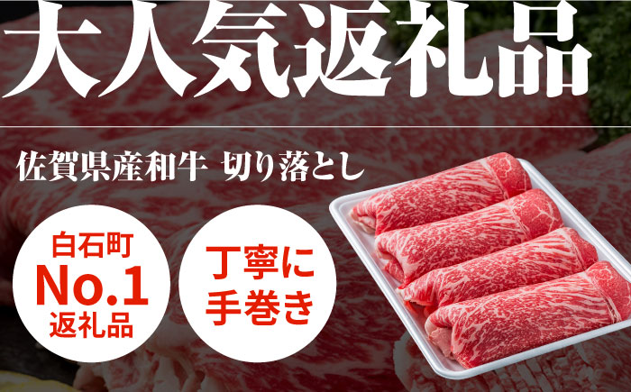 【2回定期便】牛丼コンビ！牛肉と玉ねぎの定期便 / 切り落とし 玉葱 新玉 早生 晩生 牛丼 すき焼き [IZZ031]
