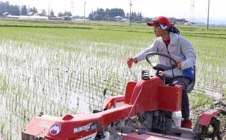 【 6回 定期便 】ササシグレ 玄米 5kg × 6回 （ 合計 30kg ） 玄米 玄米 玄米 玄米 玄米 玄米 玄米 玄米 玄米 玄米 玄米 玄米 玄米 玄米 玄米 玄米 玄米 玄米 玄米 玄米 