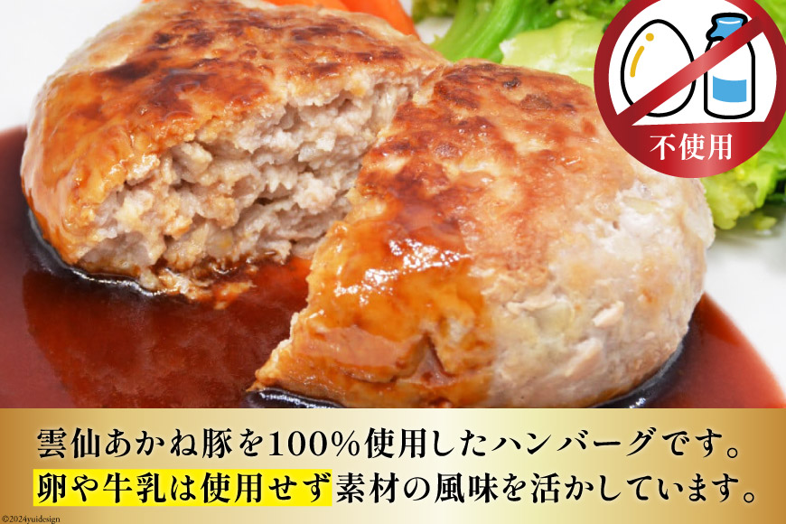 雲仙あかね豚 焼肉 450g ハンバーグ 大2個入×1袋 小2個入×1袋 セット [雲仙どまんなか 長崎県 雲仙市 item0339] 豚肉 ぶたにく国産 セット 冷凍 ポークハンバーグ ブランド豚 