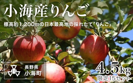 【先行予約】小海産りんご 4.5kg