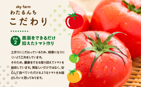 カラフルトマトジュース　2本セット　【11218-0903】