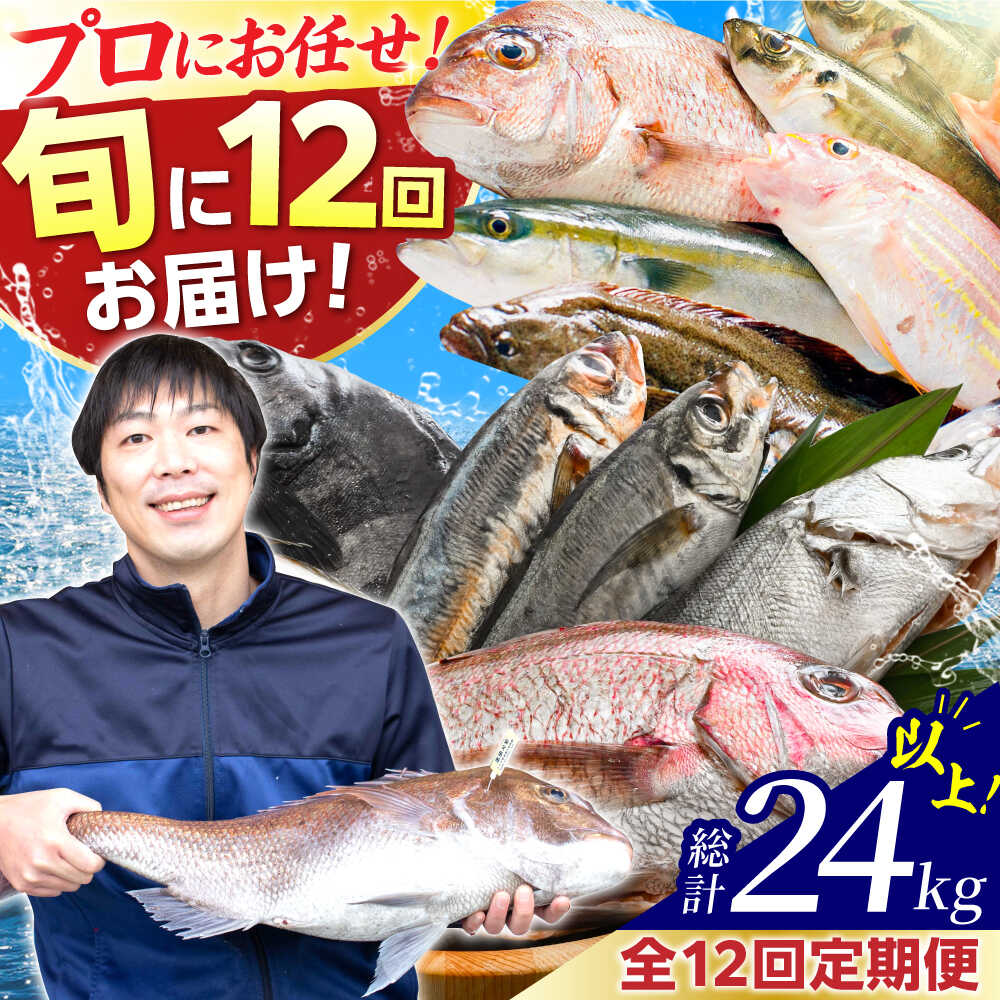 【ふるさと納税】【12回定期便】「若狭小浜湾産地直送」旬の天然鮮魚お任せセット！ / 地魚 下処理済み 刺身 煮魚 焼き魚 旬 タイ アジ 小浜市 / 加福鮮魚 【配送不可地域：北海道、北東北（秋田、青森、岩手）、九州、沖縄、離島】 [BFBC017]