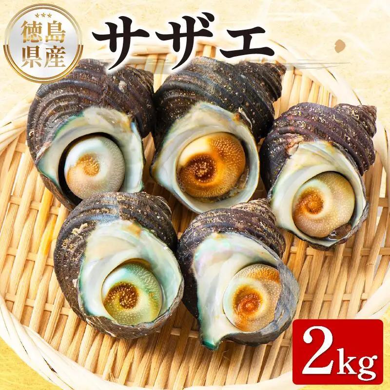 【 サザエ 】　サザエ 2kg 