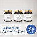 【ふるさと納税】agri doブルーベリージャム3個入り　三島紫紅果（みしまぶるーべりー）【三島市の自家農園でagri doが究めた自然栽培によって収穫された最良の果実　100％使用しています 静岡県 三島市 】