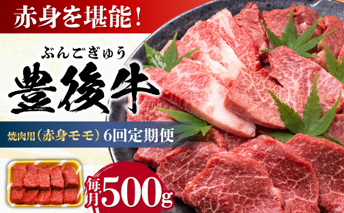 【全6回定期便】おおいた豊後牛 赤身モモ 焼肉用 500g 日田市 / 株式会社MEAT PLUS　牛 うし 黒毛和牛 和牛 豊後牛 [AREI093]