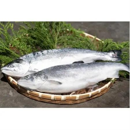 近海お刺身詰め合わせ(サーモン・ひらめ・真鯛・平目昆布〆) 各60g×2パック【配送不可地域：離島】【1692128】