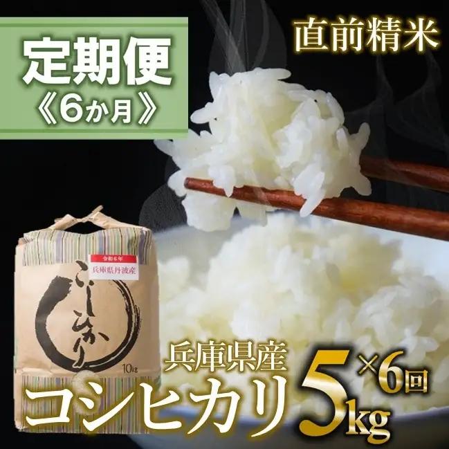【定期便/６回】コシヒカリ 白米5kg ×6か月連続お届け