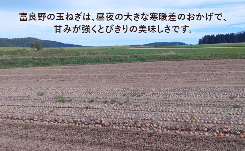 【2025年先行受付】［3か月定期便］富良野産 黄色 玉ねぎ 約20kg（約75～80玉） M～2Lサイズ　野菜 新鮮 直送 黄玉ねぎ 玉葱 玉ネギ 道産 北海道 富良野市 ふらの 幕田農園