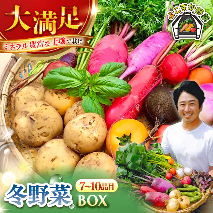 【ふるさと納税】すずなり採れたて野菜BOX（7〜10品目）冬（12月～2月）野菜セット 詰め合わせ 季節野菜 やさい 産地直送 旬 新鮮 定期 横須賀【鈴也ファーム】[AKCE003]