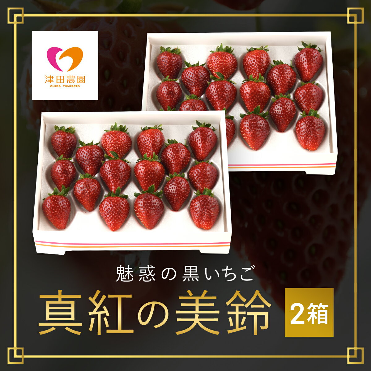 【ふるさと納税】【2026年2月から順次発送】 魅惑の黒いちご「真紅の美鈴」2箱 ふるさと納税 いちごイチゴ 苺 真紅の美鈴 黒いちご 黒イチゴ しんくのみすず 甘い 完熟 魅惑 赤 深紅 ワイン色 朝収穫 新鮮 美味しい 贈答 ギフト お取り寄せ 千葉県 富里市 TME002