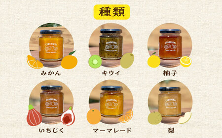 【12回定期便】季節の果実ジャム 3個（各120g） 長与町/アグリューム [EAI091]  瓶 セット ジャム