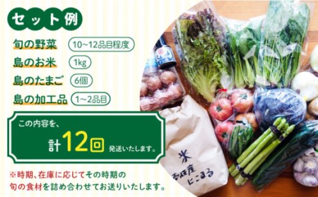 【全12回定期便】壱岐産食材詰め合わせBOX「野菜」 [JBF017] 240000 240000円 24万円 コダワリ野菜 こだわり野菜 おすすめ野菜 おススメ野菜 人気野菜 定番野菜 通販野菜 お