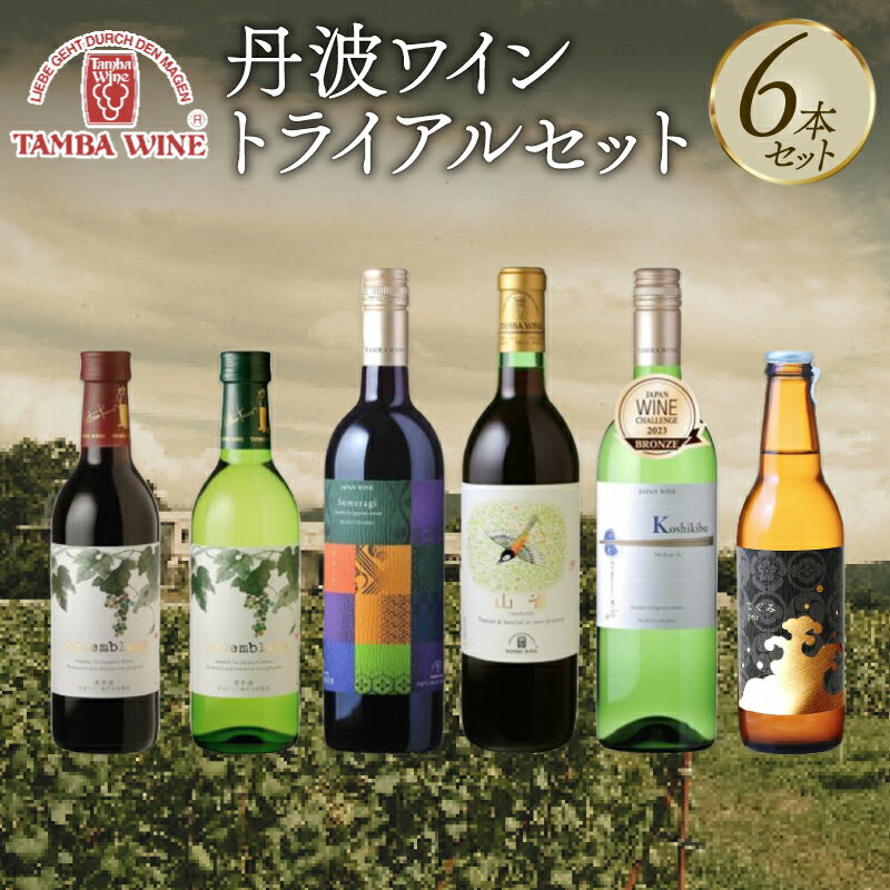 【ふるさと納税】 丹波ワイン トライアル 6本セット 【 国産 京都 丹波 ワイン 地ワイン 白 赤 ロゼ スパークリングワイン バラエティ 詰め合わせ 】