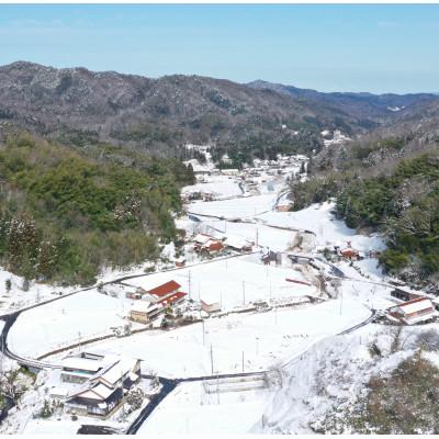 ふるさと納税 安来市 安来のお米　こりゃう米　白米7kg |  | 02