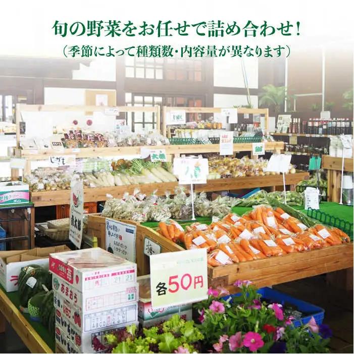 【 全12回 定期便 】 福岡県 糸島産 旬 の 野菜 盛り合わせ セット 《糸島》【株式会社フロンティア・アドバンス】[AWC009]