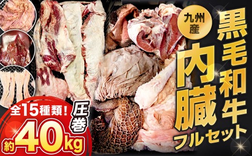 【2個口】数量限定 九州産 黒毛和牛 内臓セット 15種類 計約40kg 詰合せ 丸腸 角膜 サガリ タン アキレス ハチノス ホホ肉 ポンポン 赤千枚 千枚 ハツ シマ腸 ミノ レバー テール 詰め合わせ ホルモン 牛肉 冷凍 福岡県北九州市
