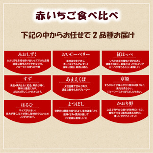 竜王町産 いちご 食べ比べセット 2パック