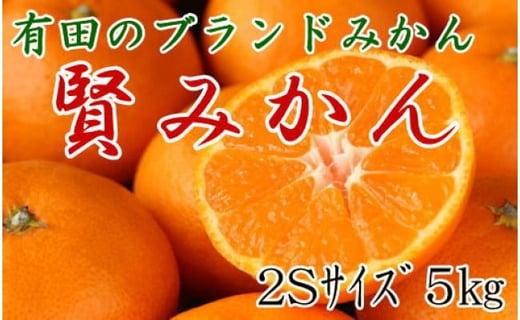 
             [秀品]有田のブランドみかん「賢みかん」5kg(2Sサイズ)【2025年11月中旬頃より順次発送】
          