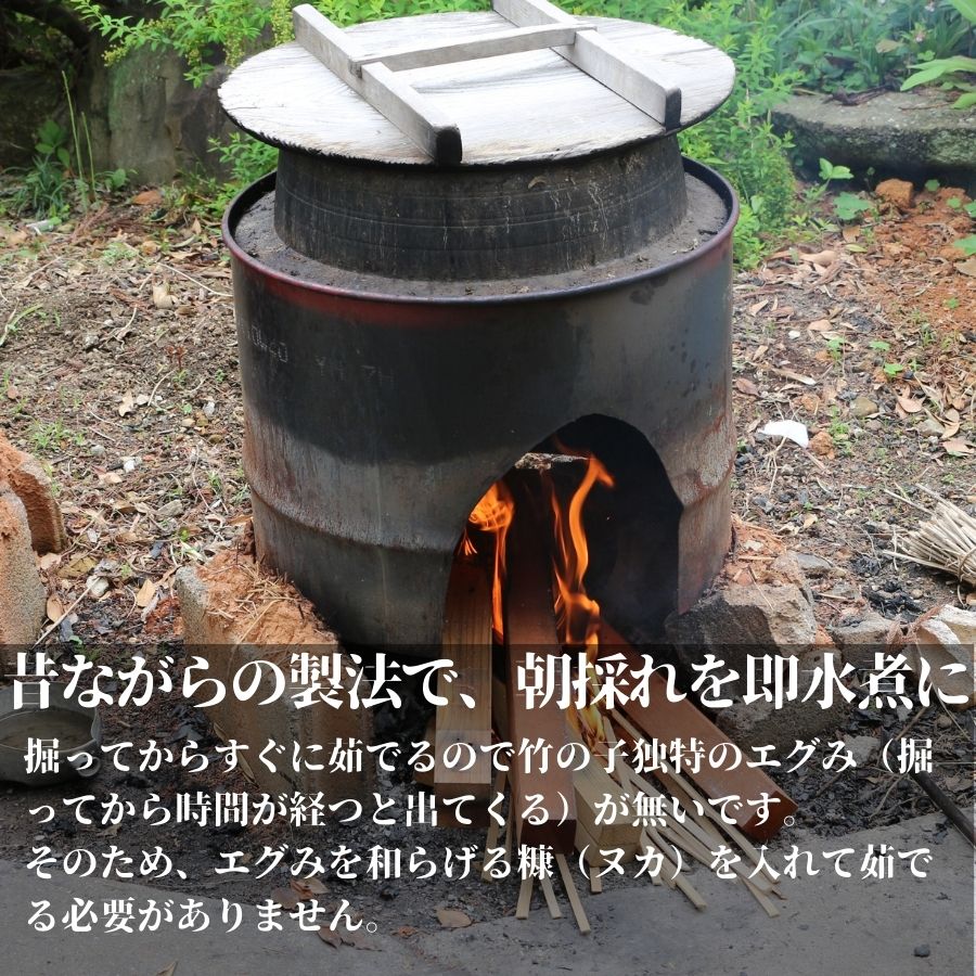 国産 たけのこ 水煮 900g 朝採れを即加工 タケノコ 竹の子 筍 小分け 長期保存 真空パック たけのこご飯 煮物に