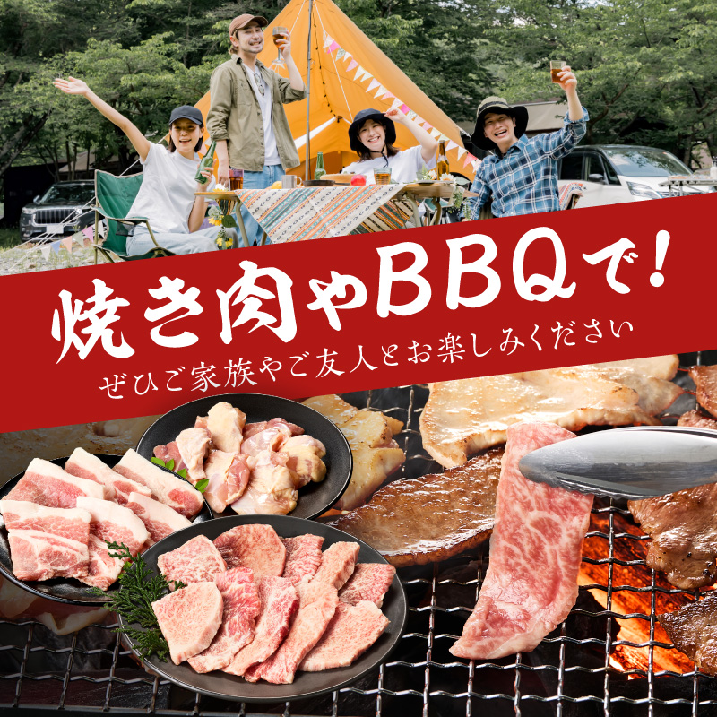 佐賀の恵み 三種焼肉セット（佐賀牛・有田鶏・肥前さくらポーク）×4セット 015-J1630