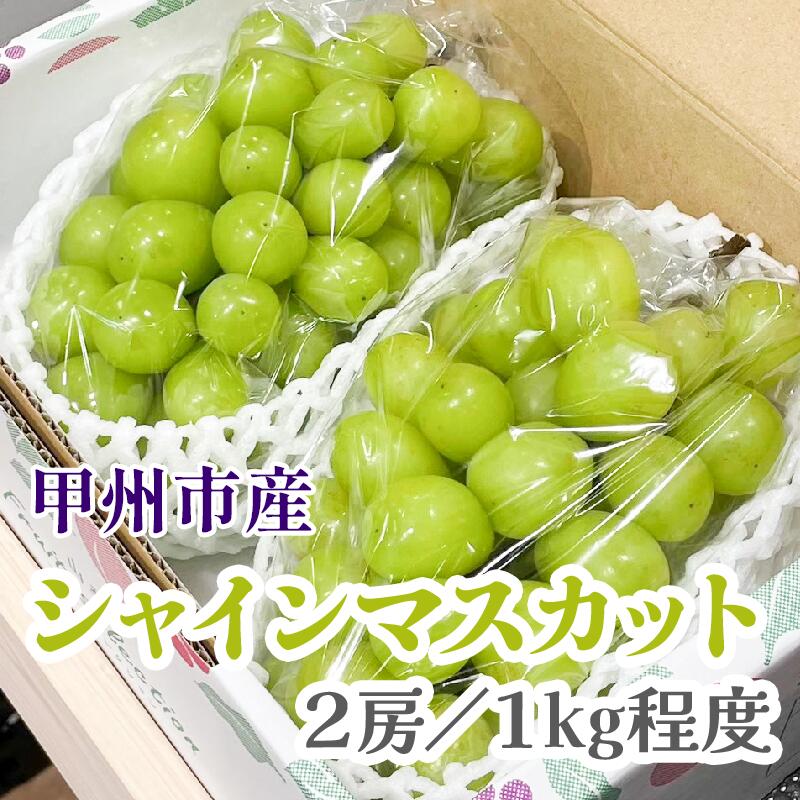 【ふるさと納税】 シャインマスカット 2026年 先行予約 約1kg 2房 冷蔵 クール便 期間限定 9月 10月 発送 ぶどう 葡萄 ブドウ 果物 くだもの フルーツ 数量限定 人気 山梨 旬 クール 果実 贈答 ギフト 山梨県 甲州市 社員マスカット （KFT） 【B-1810】