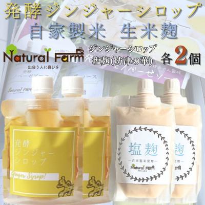 ふるさと納税 枕崎市 発酵ジンジャーシロップ&amp;塩麹　各2パックセット B1-4