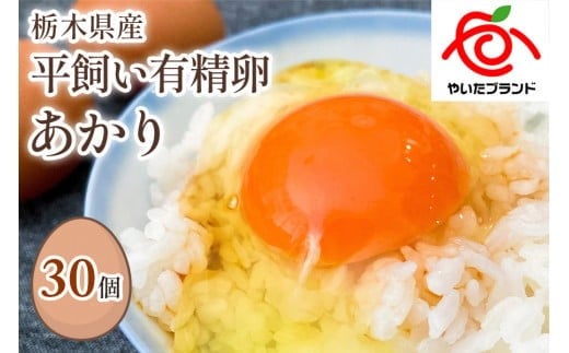 
[平飼い有精卵30個] 濃厚な黄身が特徴 ワタナベファームのおてんば長女【平飼い有精卵あかり】｜矢板市産 こだわり卵 たまご 玉子 生卵 鶏卵 [0430]
