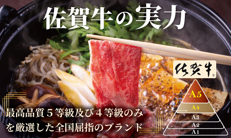 【定期便】佐賀牛 6回お肉の定期便 (隔月・奇数月お届け) A5～A4 ランク 肉本舗 小城 高級 ブランド 牛 ステーキ しゃぶしゃぶ すき焼き 焼肉 ブロック肉 ハンバーグ