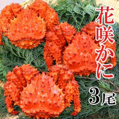 ふるさと納税 根室市 【北海道根室産】花咲蟹3尾(計1.3〜1.6kg) A-27026