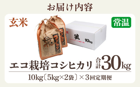 【先行予約】【令和7年産 新米】《定期便3回》エコ栽培コシヒカリ 玄米10kg（5kg×2袋）計30kg ／ 鮮度抜群 福井県産 こしひかり ご飯 新鮮 玄米 ※2025年10月上旬より準備出来次第発