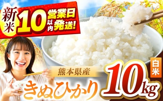 令和7年産 きぬひかり 10kg | お米 米 こめ おこめ 精米 キヌヒカリ 10キロ 国産 国産米 定期 くまもと 熊本 熊本県 玉名市 玉名