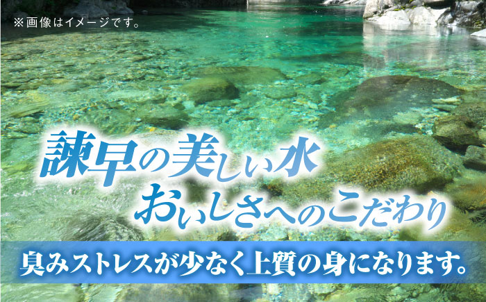 ＜諫早淡水＞うなぎ蒲焼10尾 / うなぎ ウナギ 鰻 蒲焼き 蒲焼 丑の日 土用の丑の日 国産 冷凍 小分け うな重 うな丼 ひつまぶし / 諫早市 / 活うなぎ問屋 諫早淡水 [AHAT003]